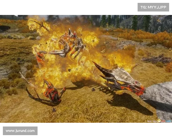 翱翔天际:小战龙终极攻略手册 翱翔天际:小战龙终极攻略手册